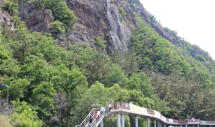 월영산 출렁다리