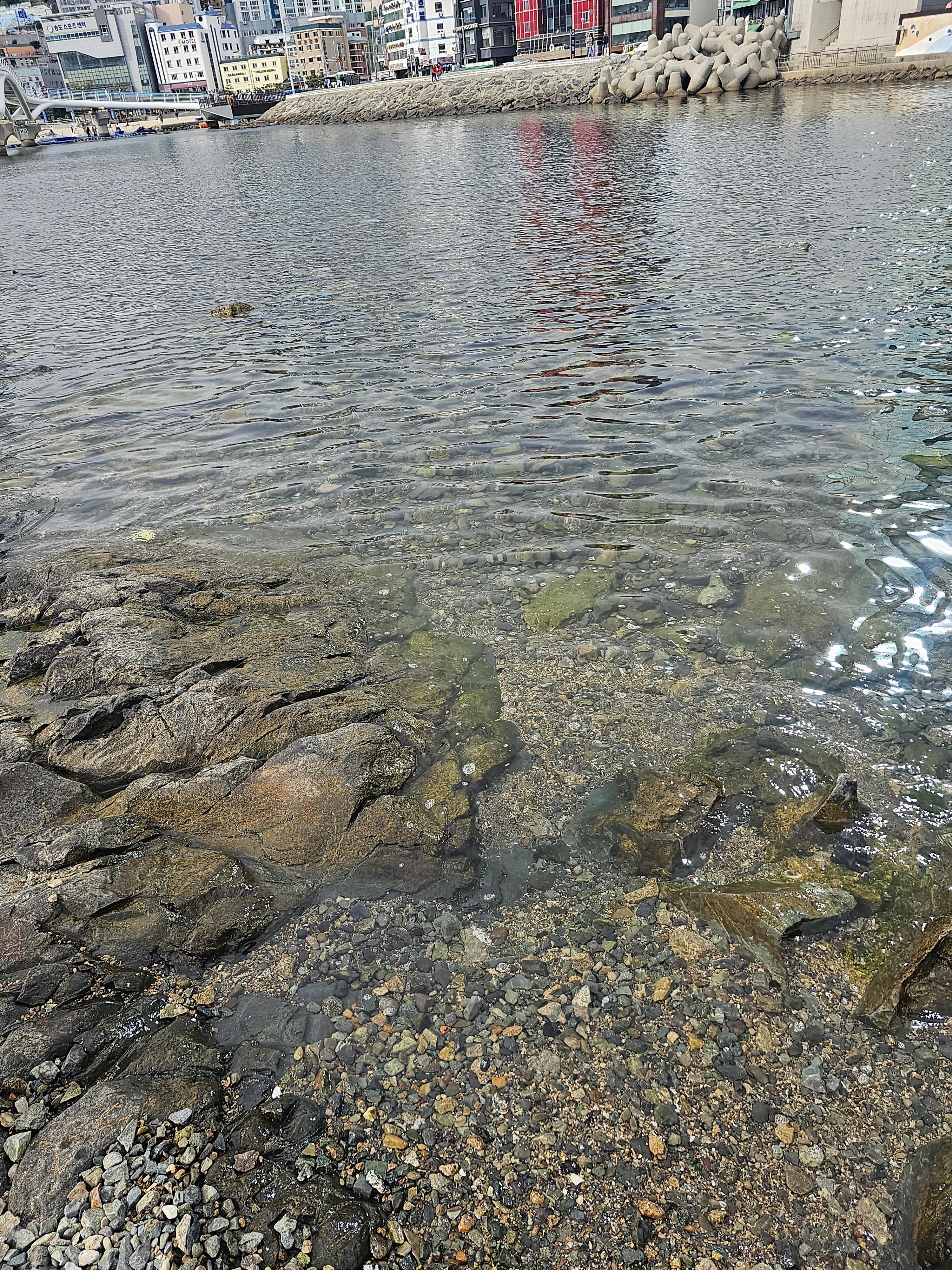 맑은_송도_바다