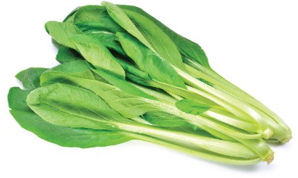 소송채의 효능, 부작용, 먹는법, 이유식 레시피 그리고 보관법(냉장, 냉동)