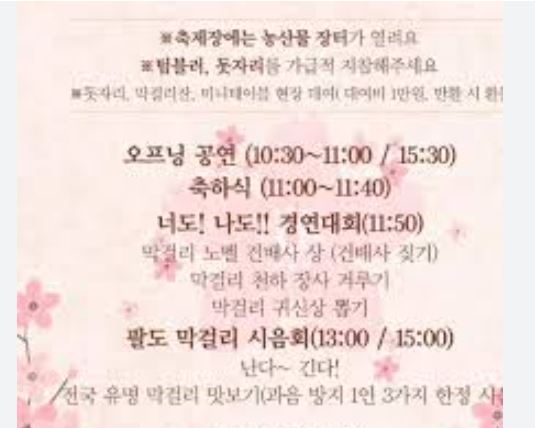 해남 벚꽃