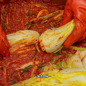 절임배추 20kg 몇포기