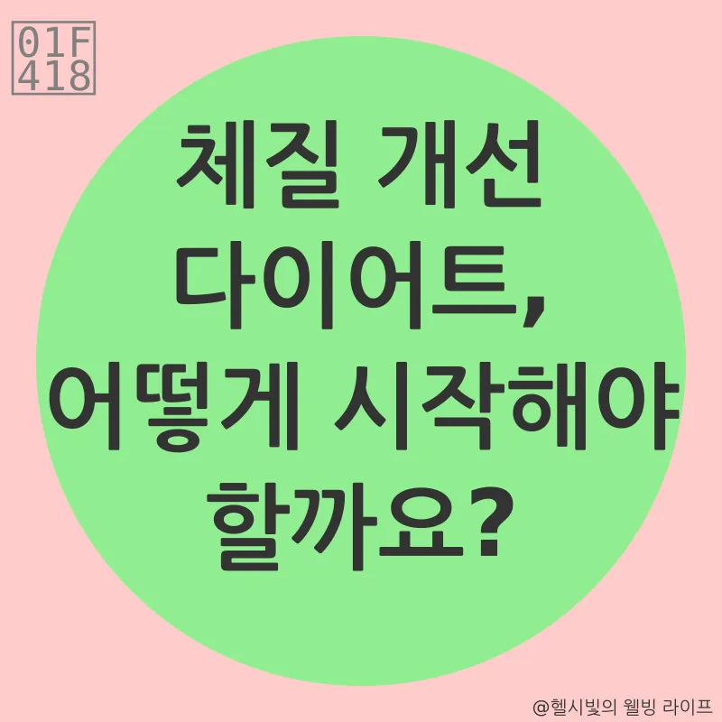 체질 개선 다이어트_3