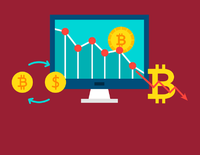 암호화폐의 변동성