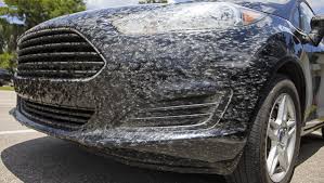 러브버그(Lovebug)&amp;#44; 그 이름에 속지 마세요! 🐞💕