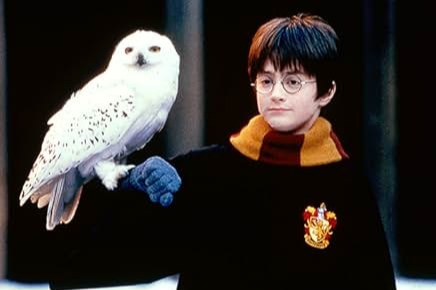 해리포터와 마법사의 돌