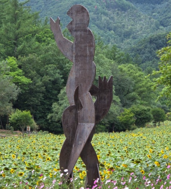 2025 강원도 태백 해바라기 축제 정보, 태백 여행 꿀팁