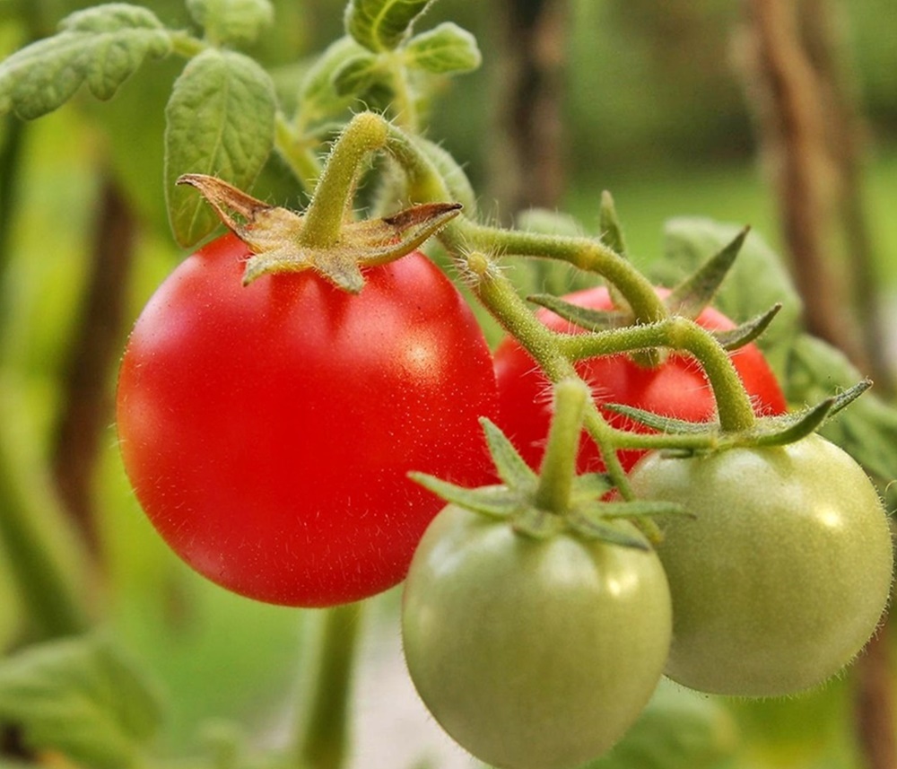혈당보다 먼저 무너지는 장기들! 당뇨 전단계에서 시작된 &lsquo;침묵의 손상&rsquo;