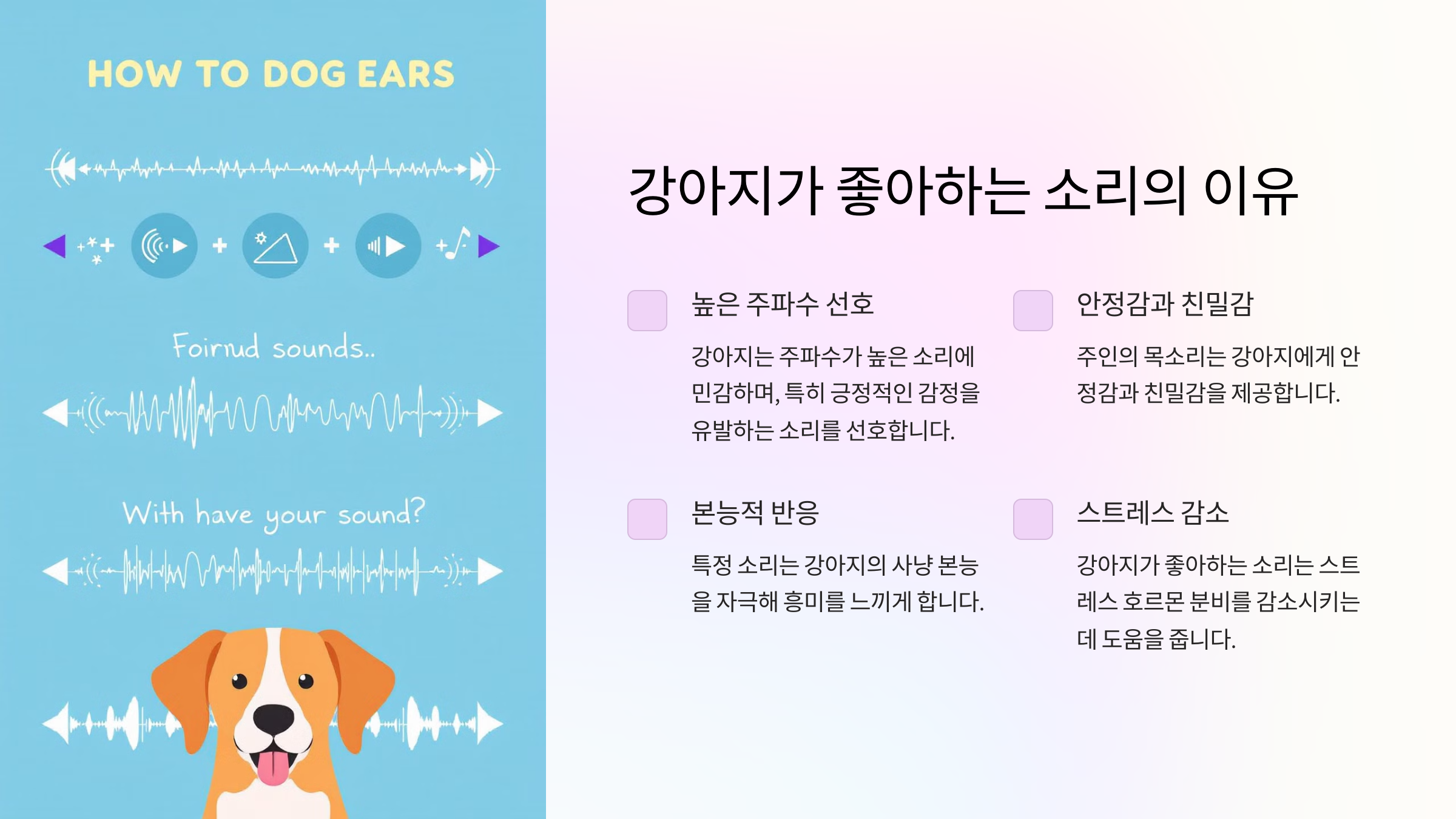 강아지가 좋아하는 소리의 이유