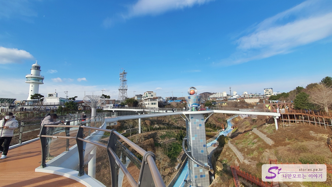 스카이밸리에서 바라본 묵호등대