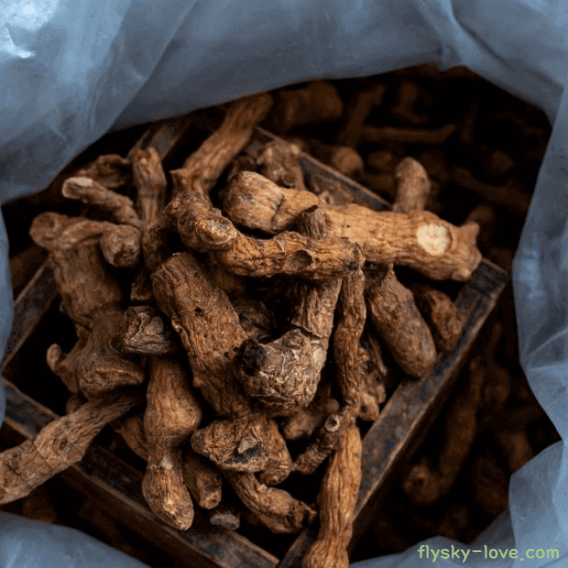 둥글레 고르는 법