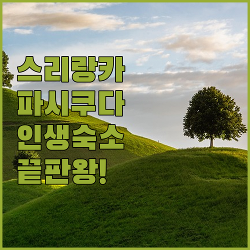 스리랑카 동부 해안 리조트 추천 가족..