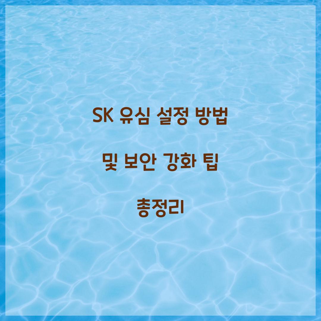 SK 유심 설정