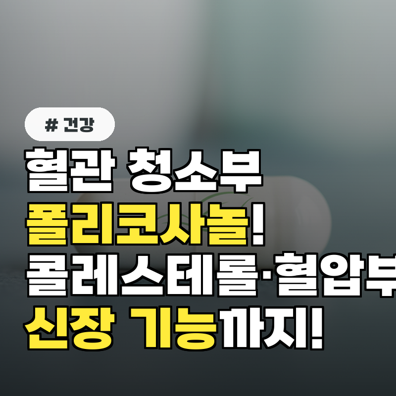 혈관 청소부’ 폴리코사놀! 콜레스테롤·혈압부터 신장 기능까지!