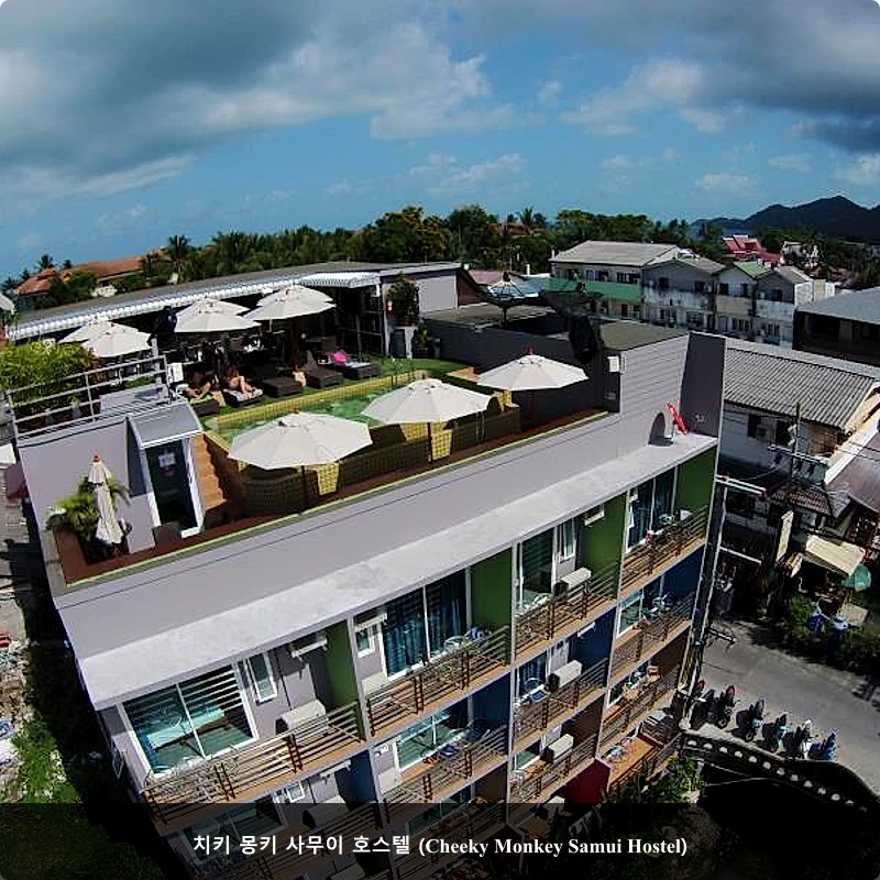 치키 몽키 사무이 호스텔 (Cheeky Monkey Samui Hostel)_1