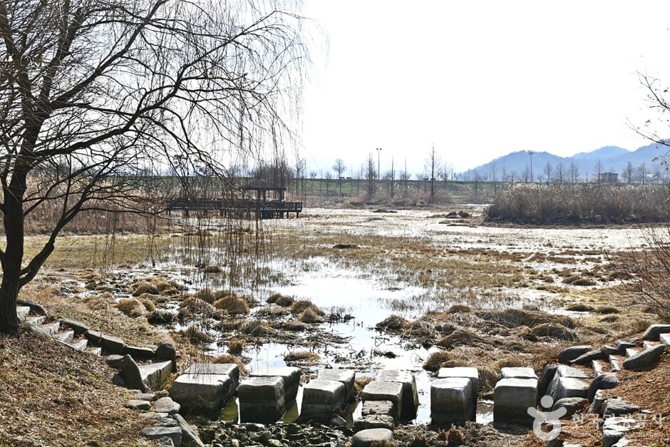 함평 가볼만한곳 베스트 10