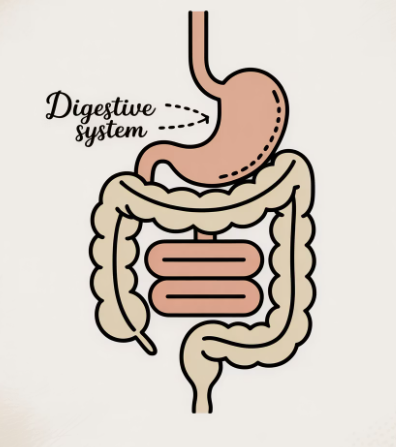 과민성 대장증후군
