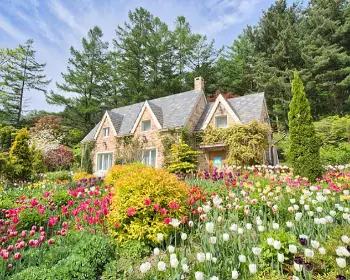 아침고요수목원_16