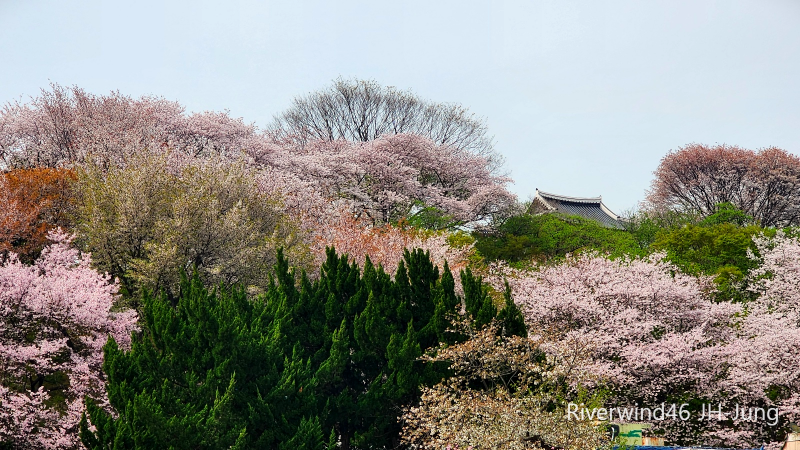 망월산과 동장대