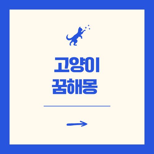 고양이 꿈해몽 풀이