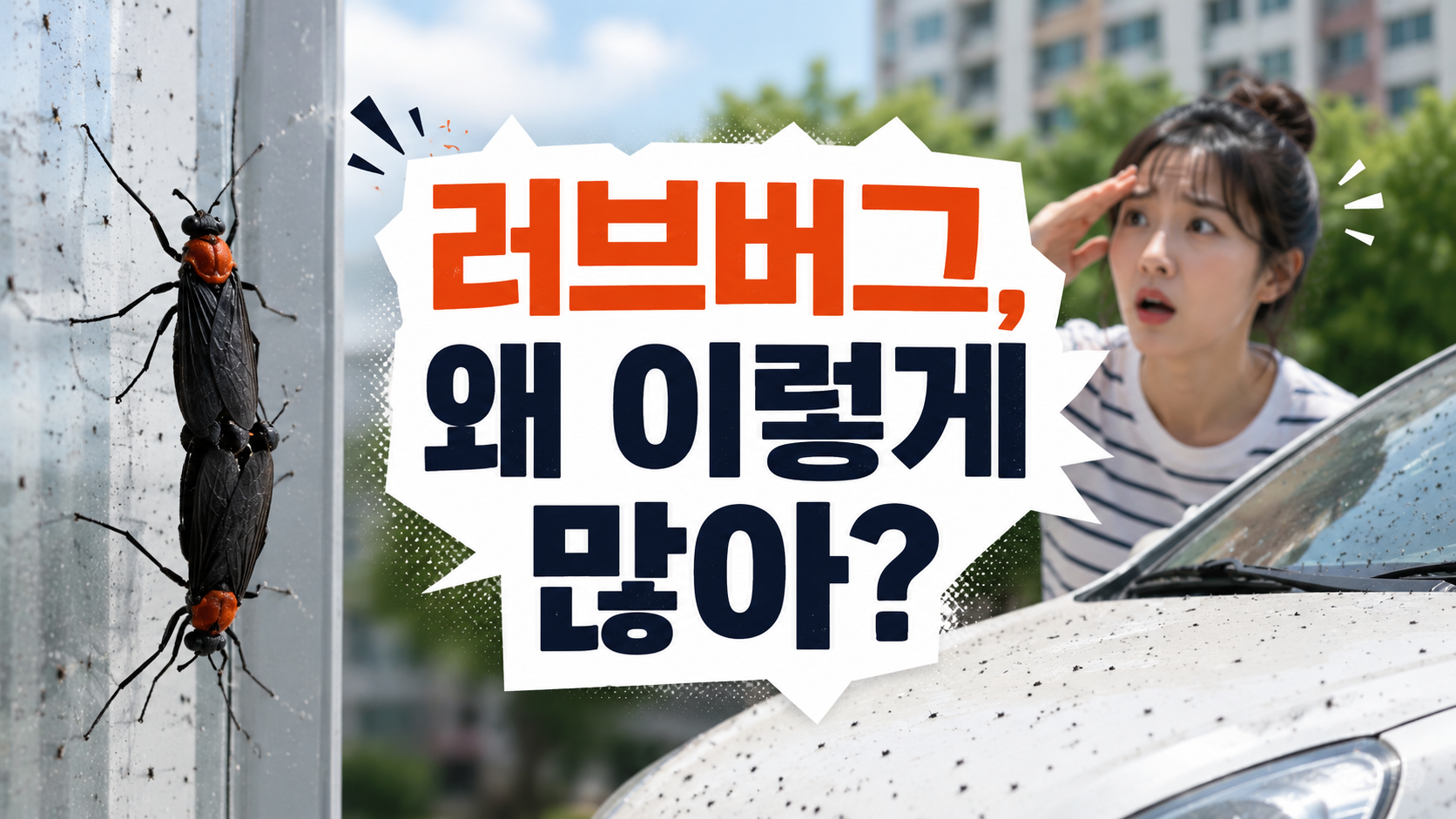 러브 버그