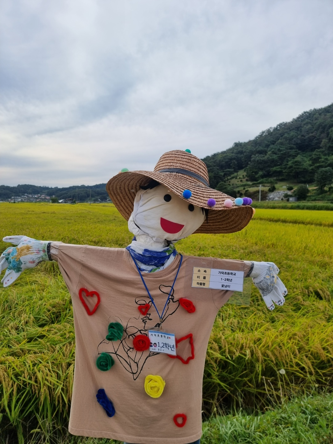가덕 코스모스 (청주 코스모스길)