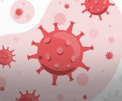 천연곰팡이제거제