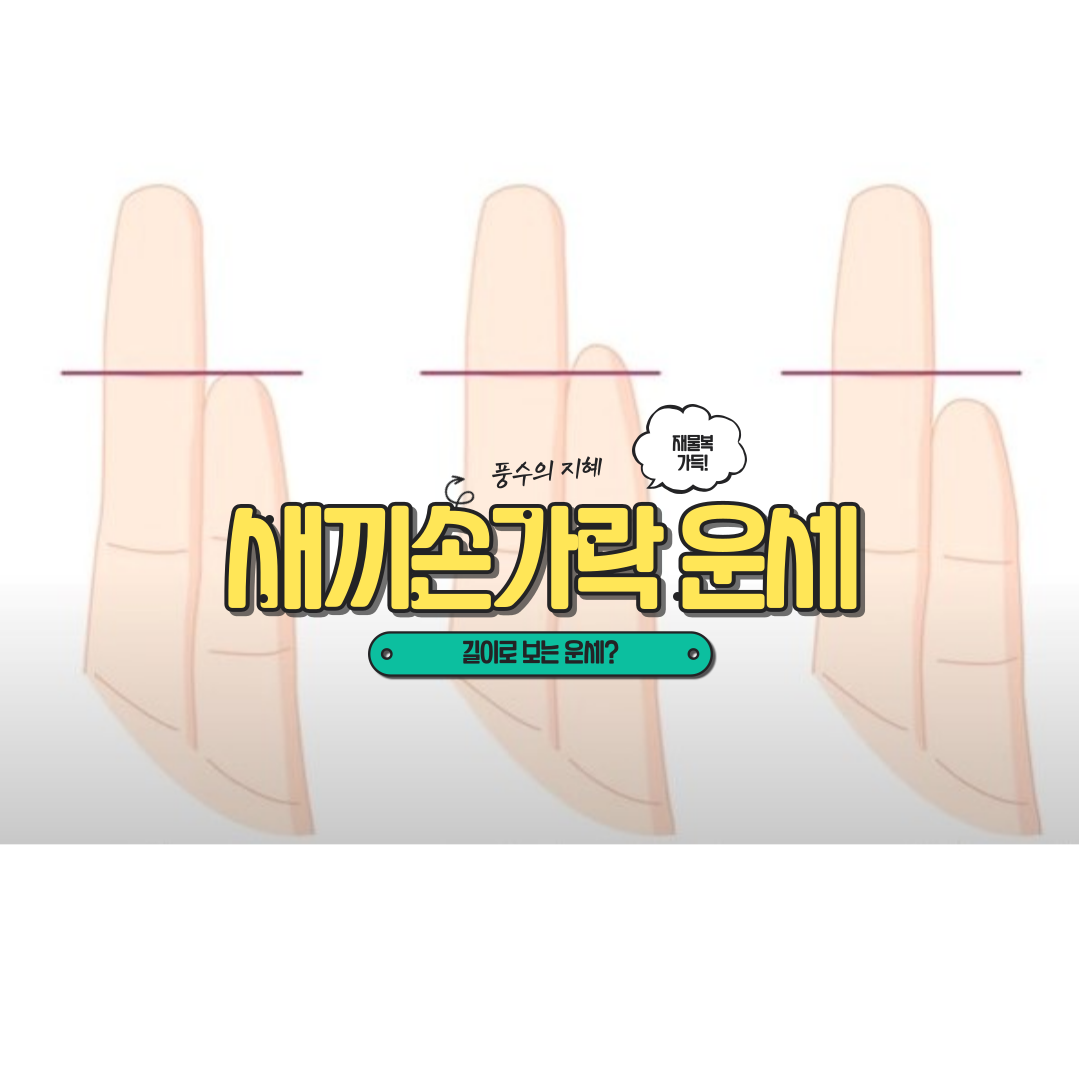 새끼-손가락-약지-길이-운세