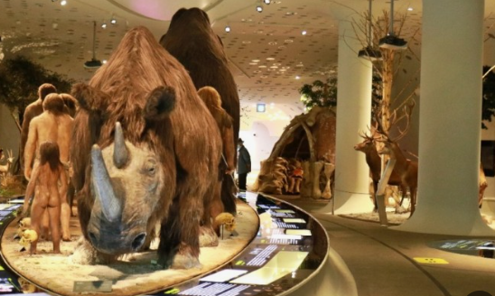 연천 전곡선사유적지 박물관 사진