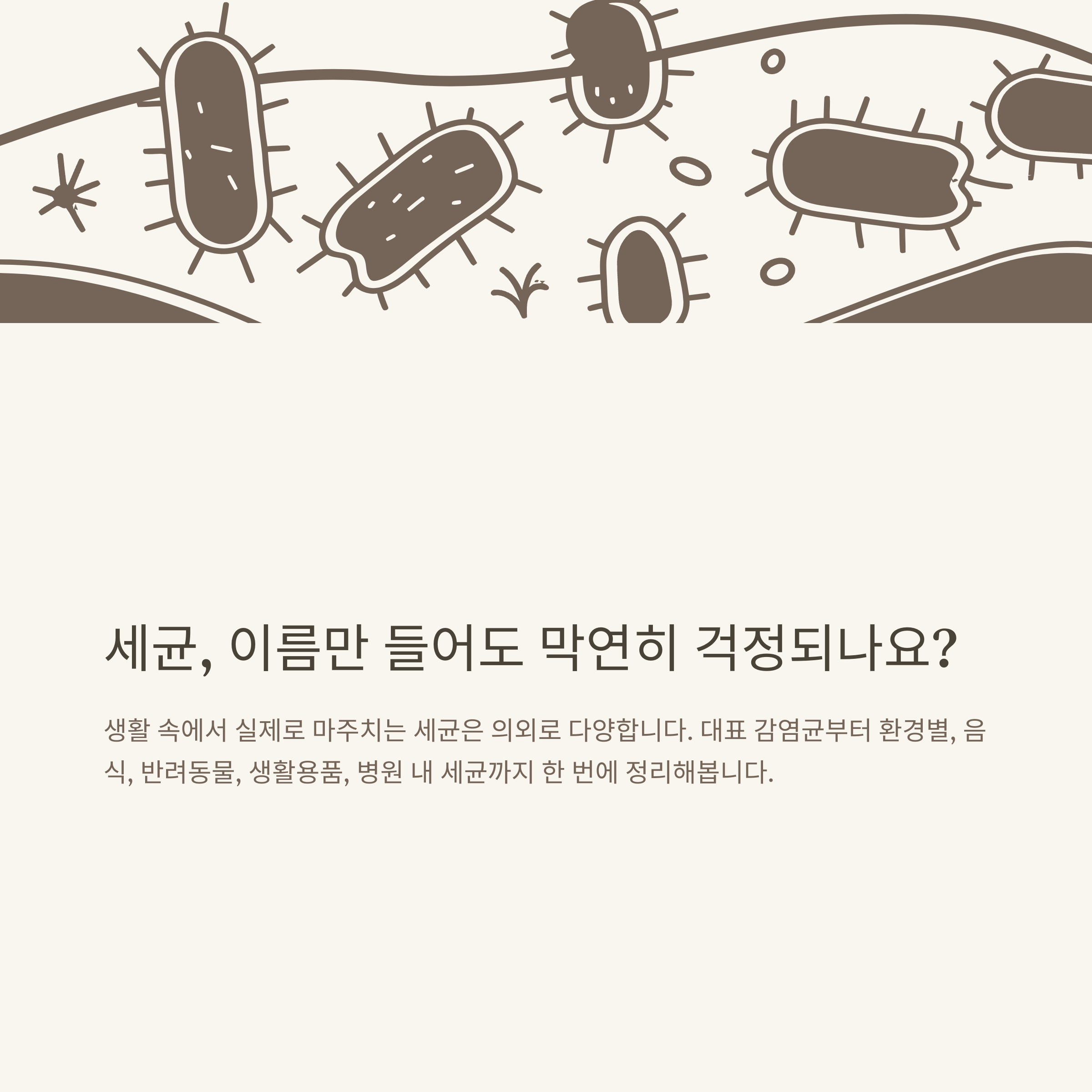세균 종류 이름 완벽정리 – 대표 감염균부터 환경별, 신종세균까지 실제 사례 기반 안내