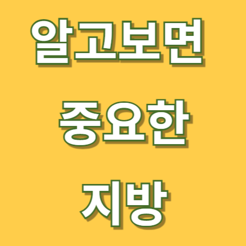 알고보면 중요한 지방