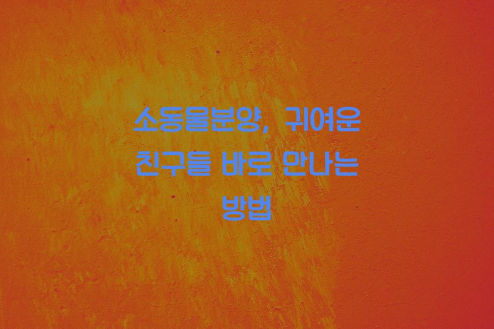 소동물분양
