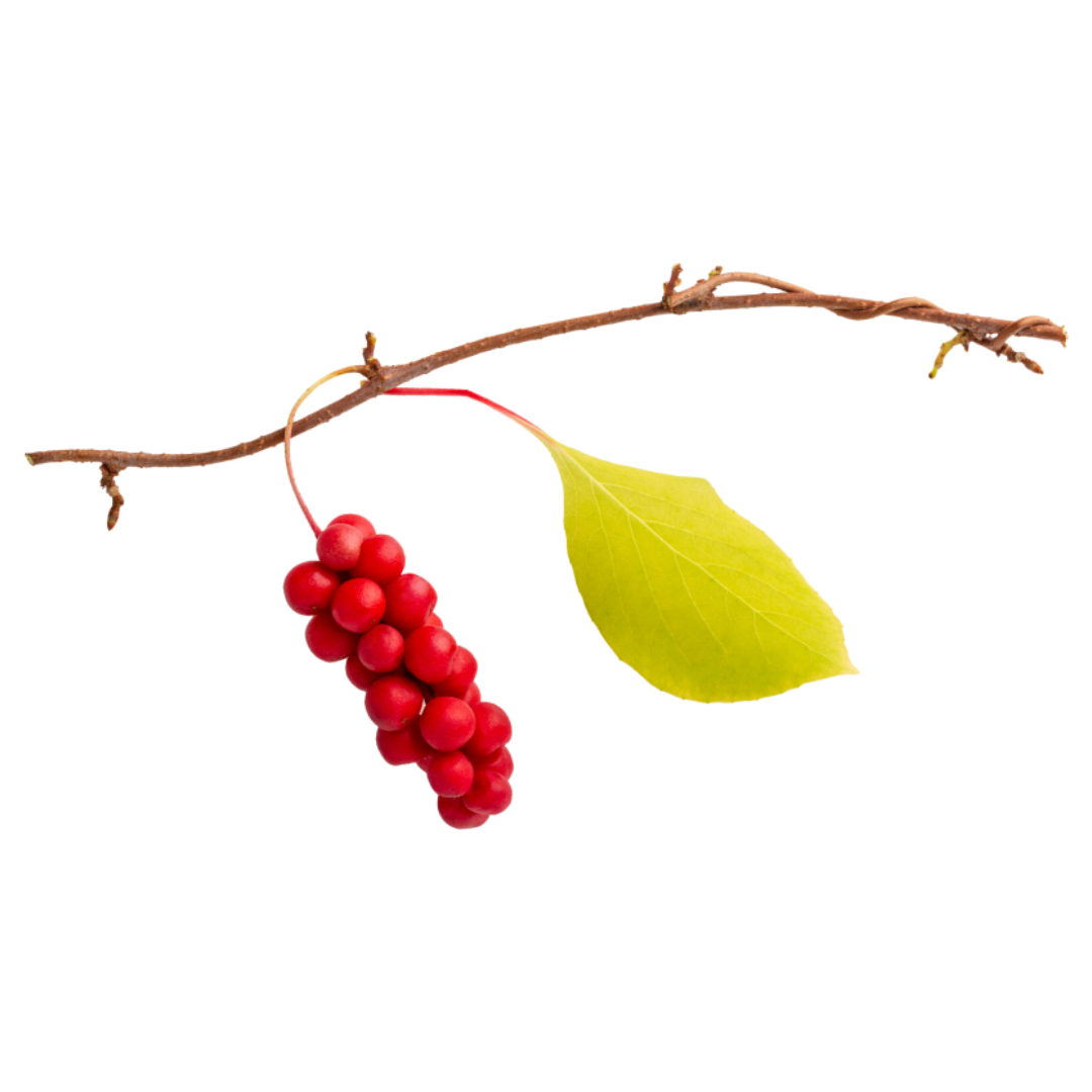 오미자청과 관련된 사진입니다.