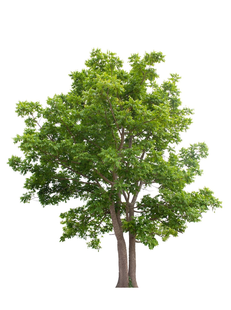 etc-image-39