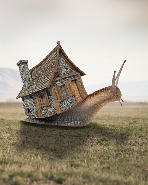 무료 일러스트 프로그램 TOP 5 &ndash;포토샵 없이 그림 그리기