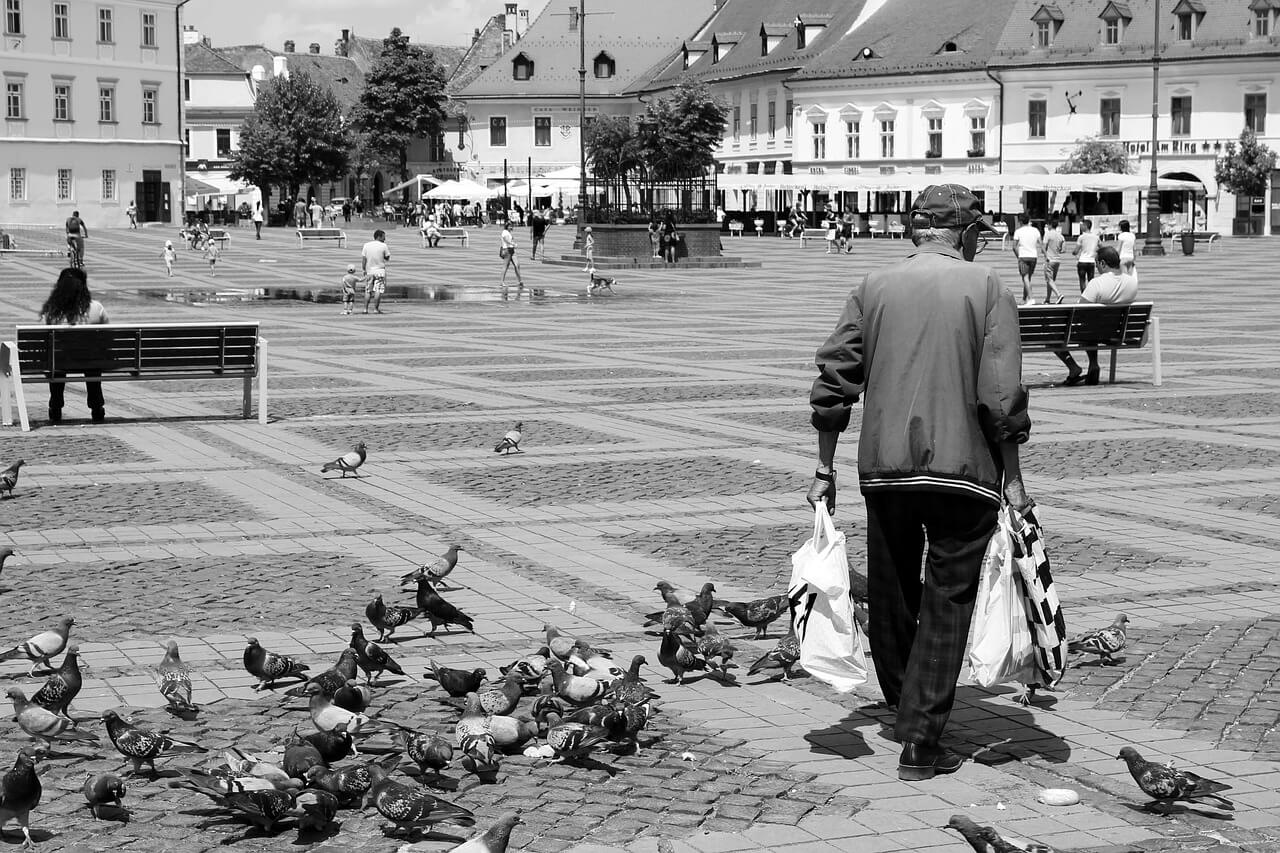 2026년 노인역량활용사업 신청자격 총정리! 연령&middot;제외대상 체크