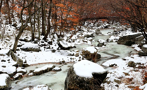 충청권 겨울에 걷기 좋은 숲길 &amp; 트레킹 추천 BEST 7