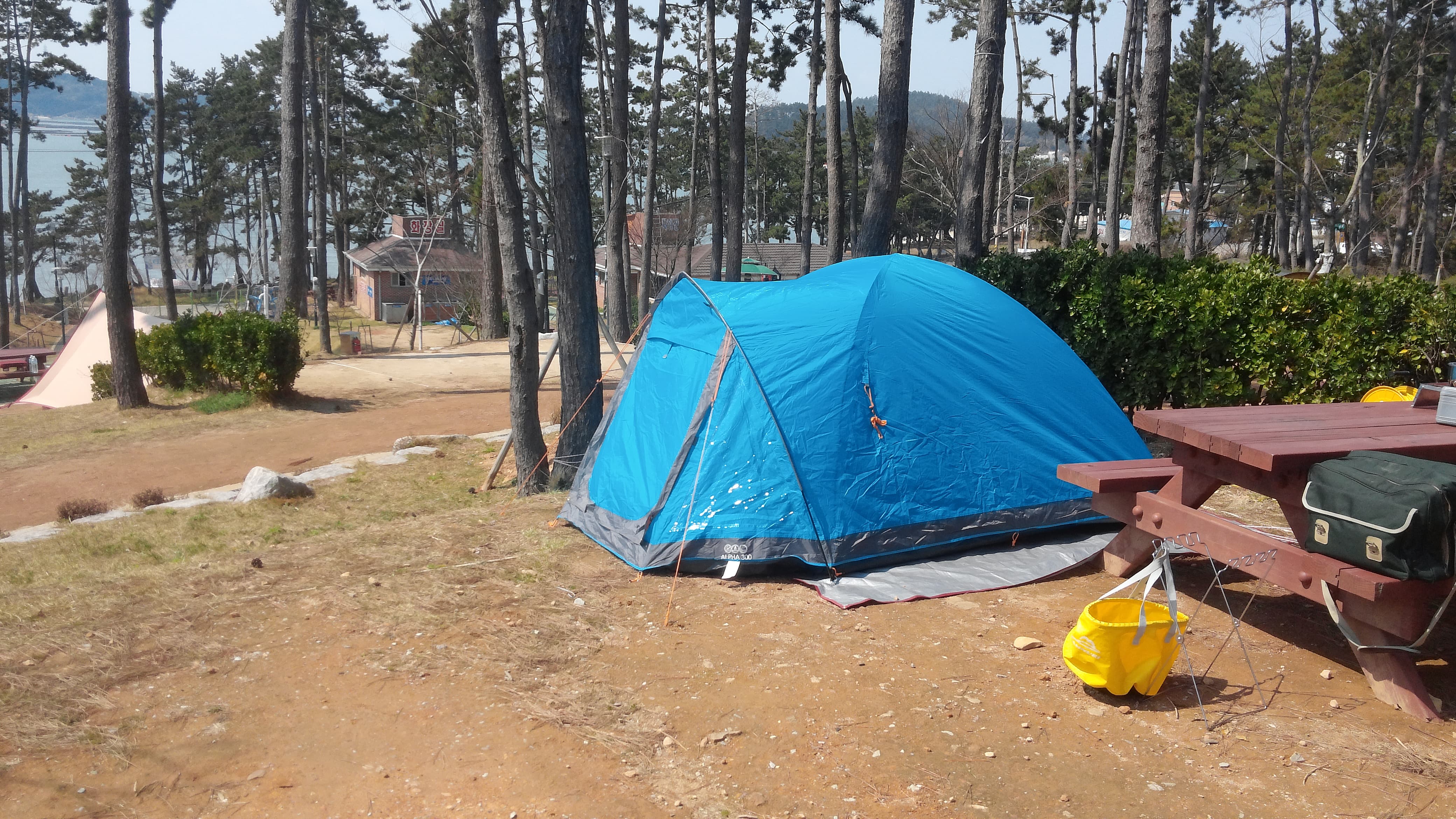 캠핑장에 파란 텐트