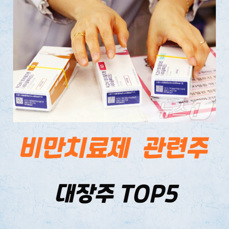 비만치료제 관련주 대장주 BEST5
