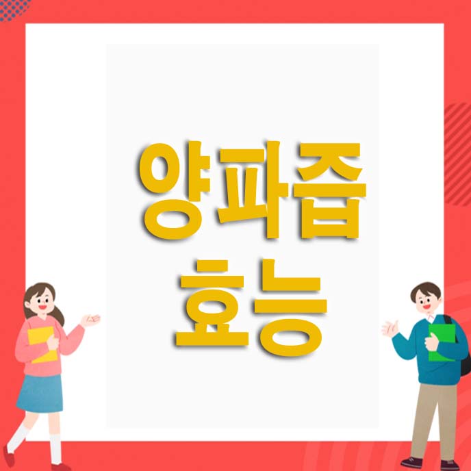 양파즙 효능 양파즙 부작용