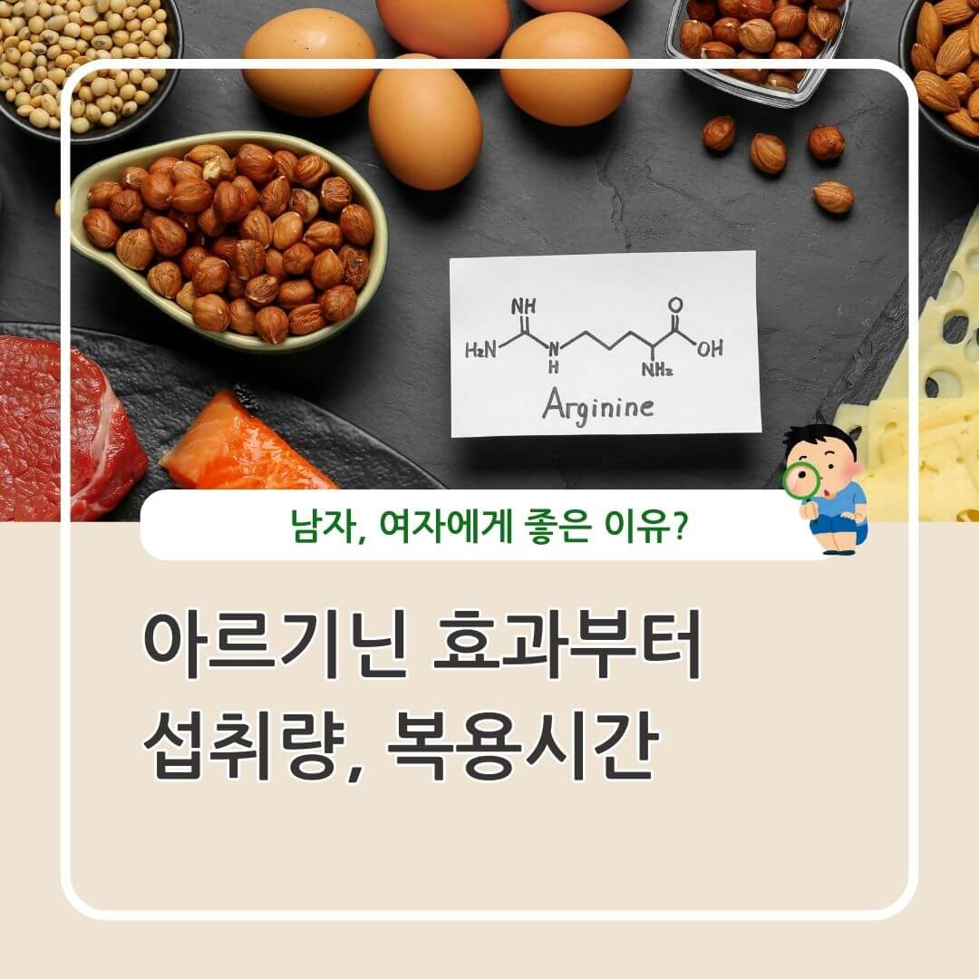 아르기닌 효과 섭취량