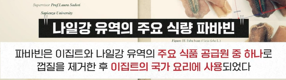 파바빈이란