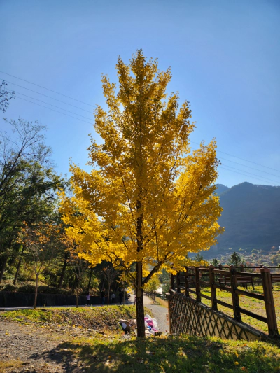 문경 에코월드 아이와 가족여행 정보 가볼만한곳