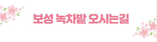 봄꽃 여행지
