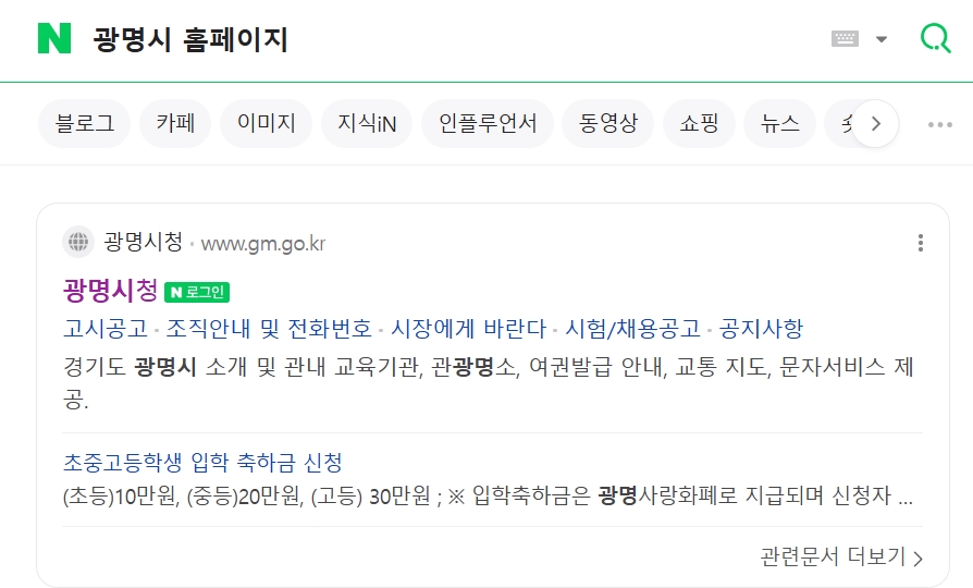 민생지원금
