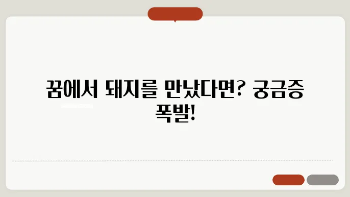 돼지 꿈해몽