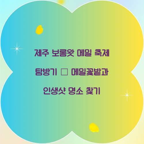 제주 보롬왓 메밀 축제