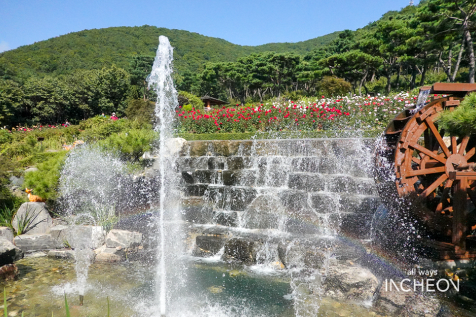 인천 계양산장미원 개화 시기부터 포토존까지 한눈에 정리!