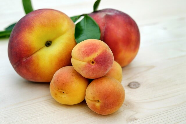 살구 효능