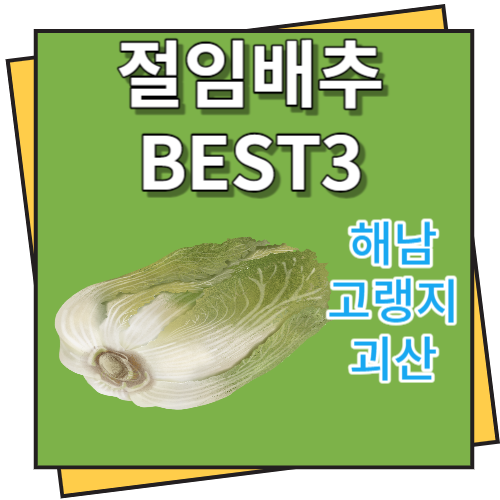 절임배추 가격