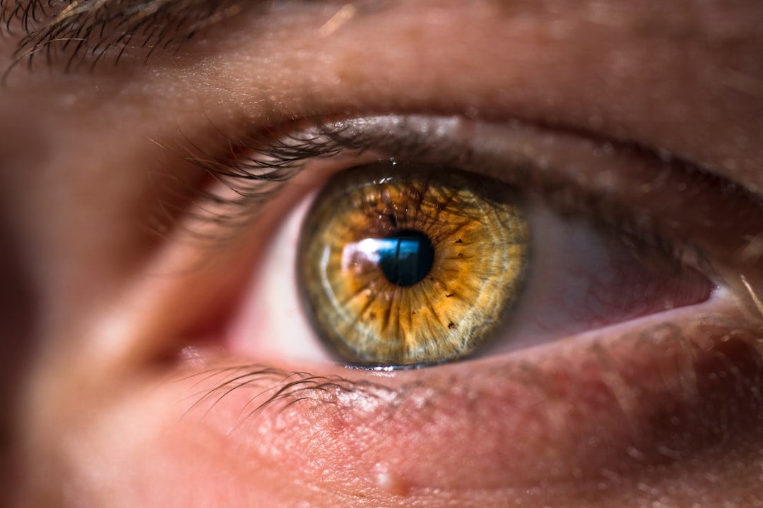Eyelid